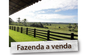 fazenda a venda em arraial d'ajuda imoveis